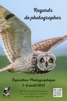 exposition 2025