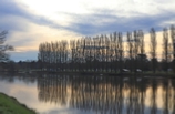 Contre jour Bord du Cher